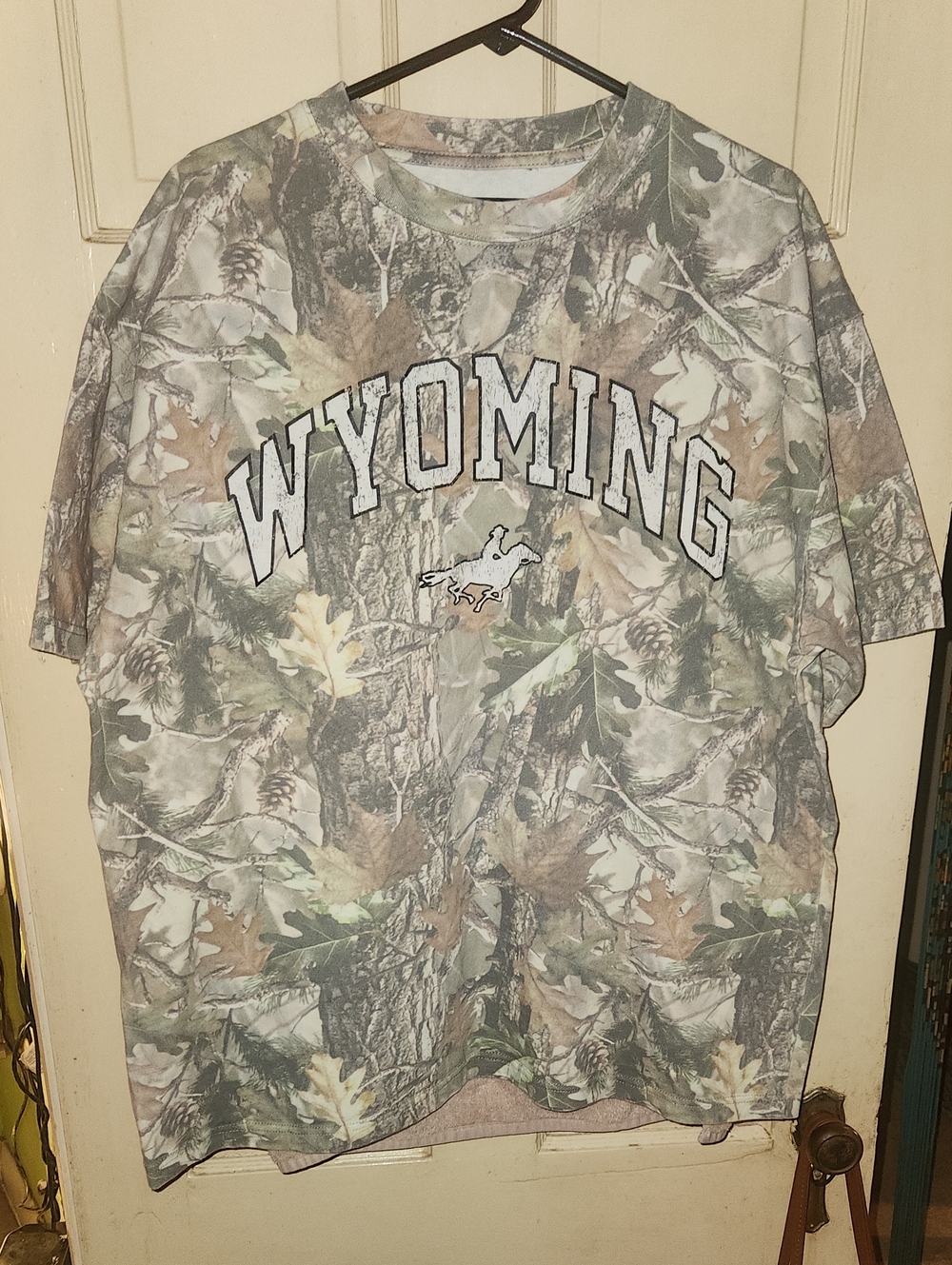 PacSun WYOMING Camouflage Short-Sleeve Tee in Green and Brown